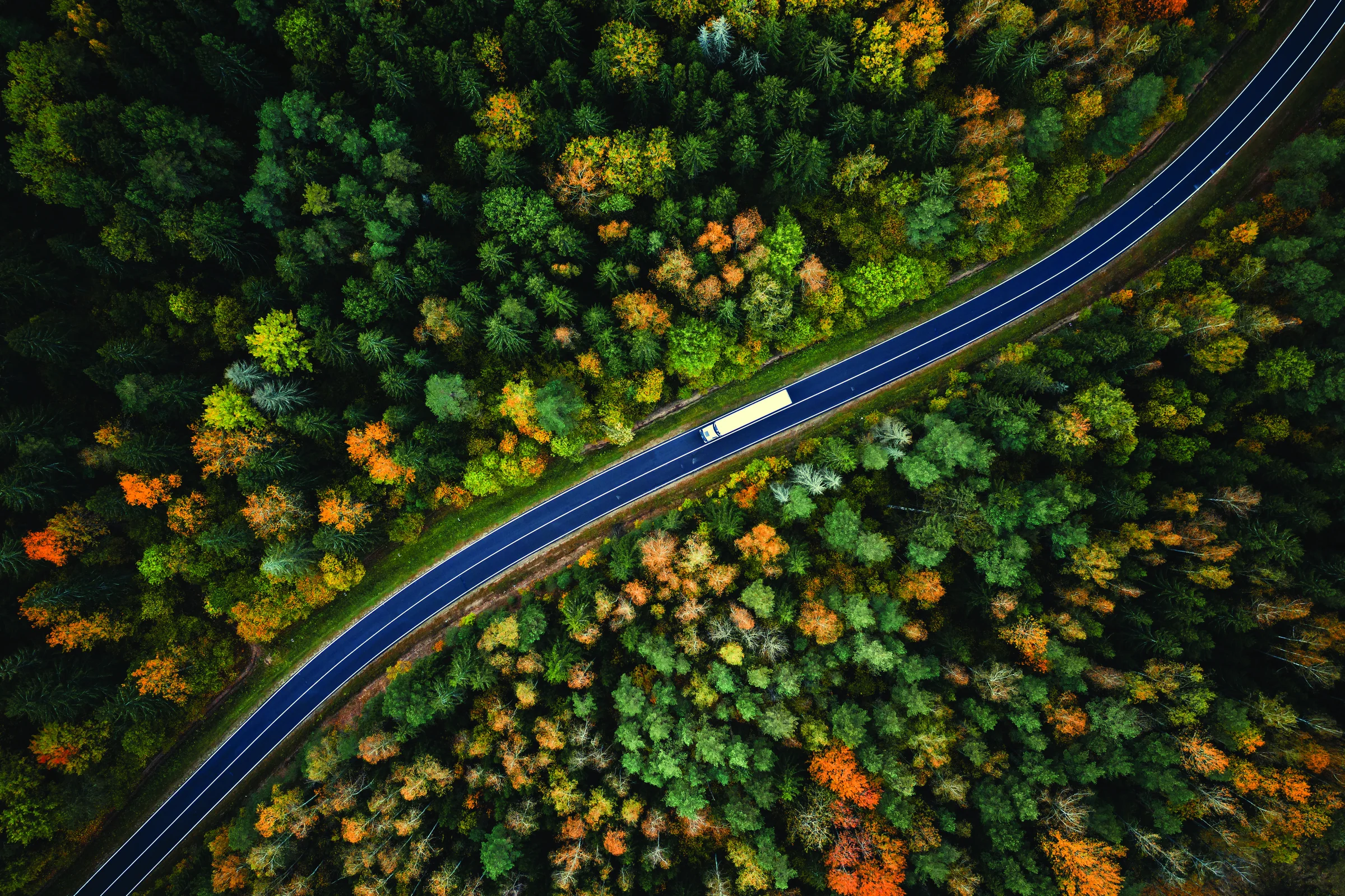 Aerial view of a freight truck on a road through autumn forest